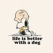 Niki Doshi's photo