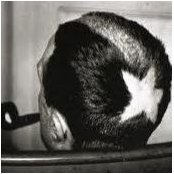 Eric Savage's photo