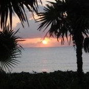 Tina Nelson's photo