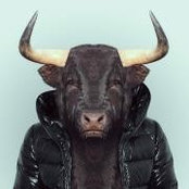 Pablo Moreno's photo
