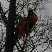 David Harton's photo