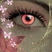 Karine Devogelaer's photo