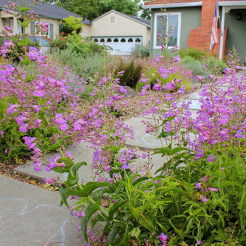 California Native Garden and Bioswale