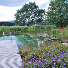 Schwimmteich