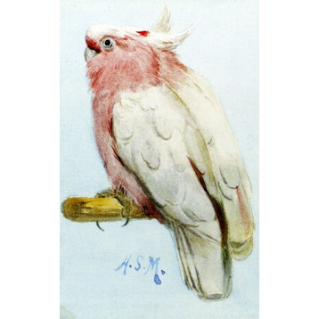 Henry Stacy Marks A Pair Of Leadbetter Cockatoos Wall Decal