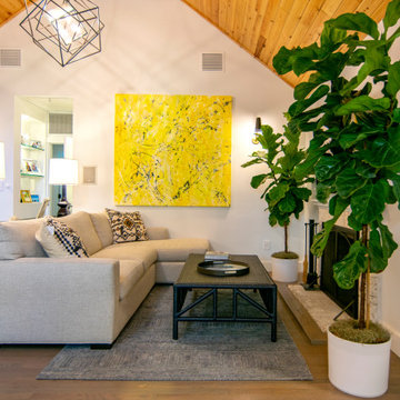 Modern Beach Cottage