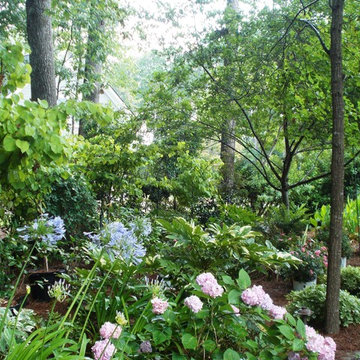 Woodland Garden