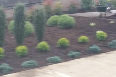 Photo of a landscaping in Louisville.