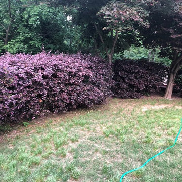 Tiered Retaing Walls/Boulder Wall