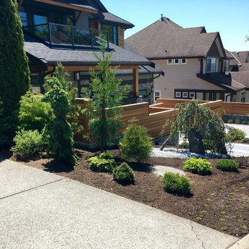 Planting scheme, neighbours side