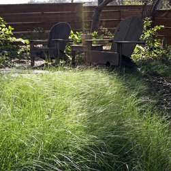 Carex Meadow - Products