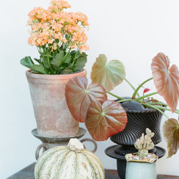 Slow Flowers October 2019 Inspiration: Seasonal Decor with Pumpkins & Gourds