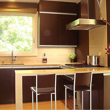 Caesarstone Counters and Island