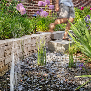 North Shore Rain Garden