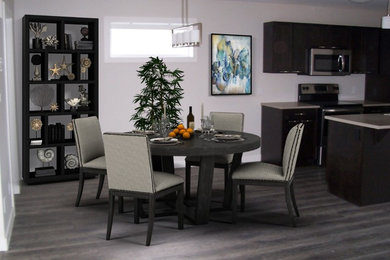 Inspiration for a modern dining room remodel in Other