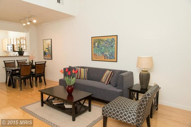 Example of a trendy living room design in DC Metro