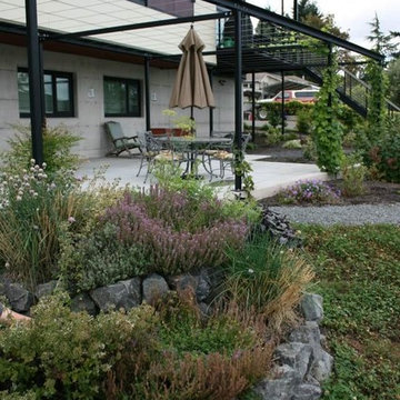 Kirkland Permaculture Garden