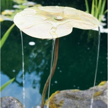 water feature