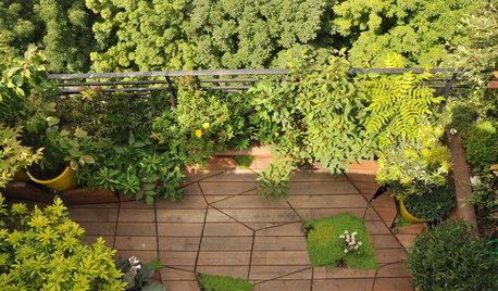 Balkon-Poesie: Eine immergrüne Oase mit beweglichem Boden