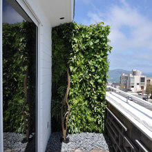 Patio Ideas