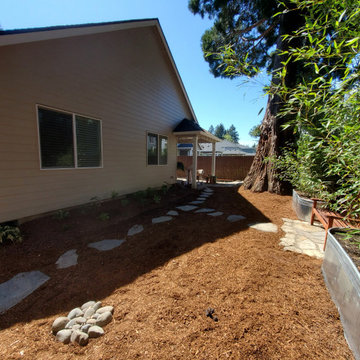 Patio under the Redwood Tree