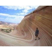 David Young's photo