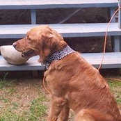 Cathy Ryan's photo