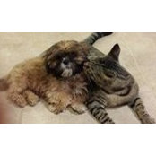 Jack Wilcox's photo