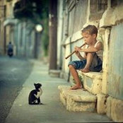Daniel Lawn's photo