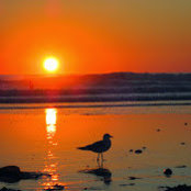 Sarah Brown's photo