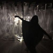 Terry Cohen's photo