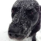 Tina Janson's photo