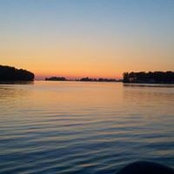 Scott Neal's photo