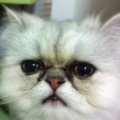 Mio Nishizu's photo