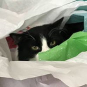 Patty Ahrweiler's photo