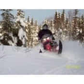 Stephane Maurice's photo