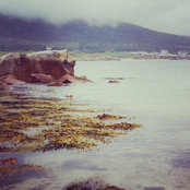 nestorsiobhans foto