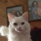 Eva Tudino's photo