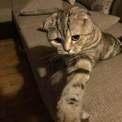 Ирина Юринаs foto