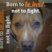 Beckie Mossor's photo