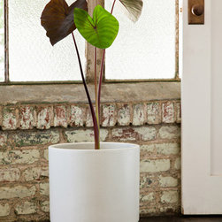 Case Study Hex Planter with Wood Stand - Indoor Pots And Planters
