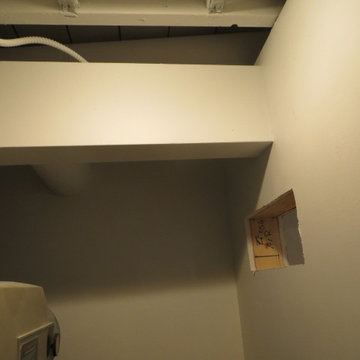 Basement renovation