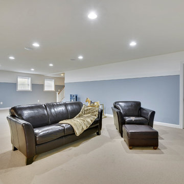 Basement Remodels
