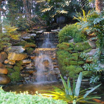 Tropical Backyard Oasis - waterfall and koi pond