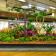 Artificial Indoor Plants