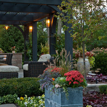 Backyard Ideas