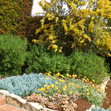 Succulents Replace Tiny Terraced Lawns