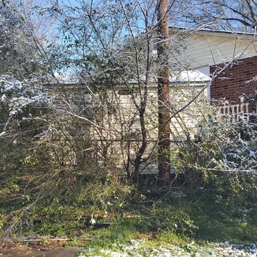 Fence Line Brush Clean-up