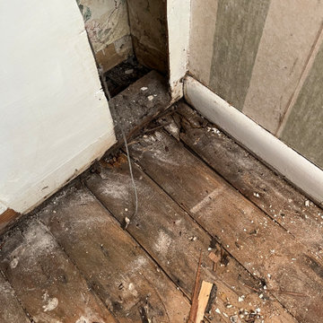 National Park, New Floors
