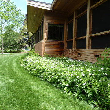 Mid-Century Modern Residence